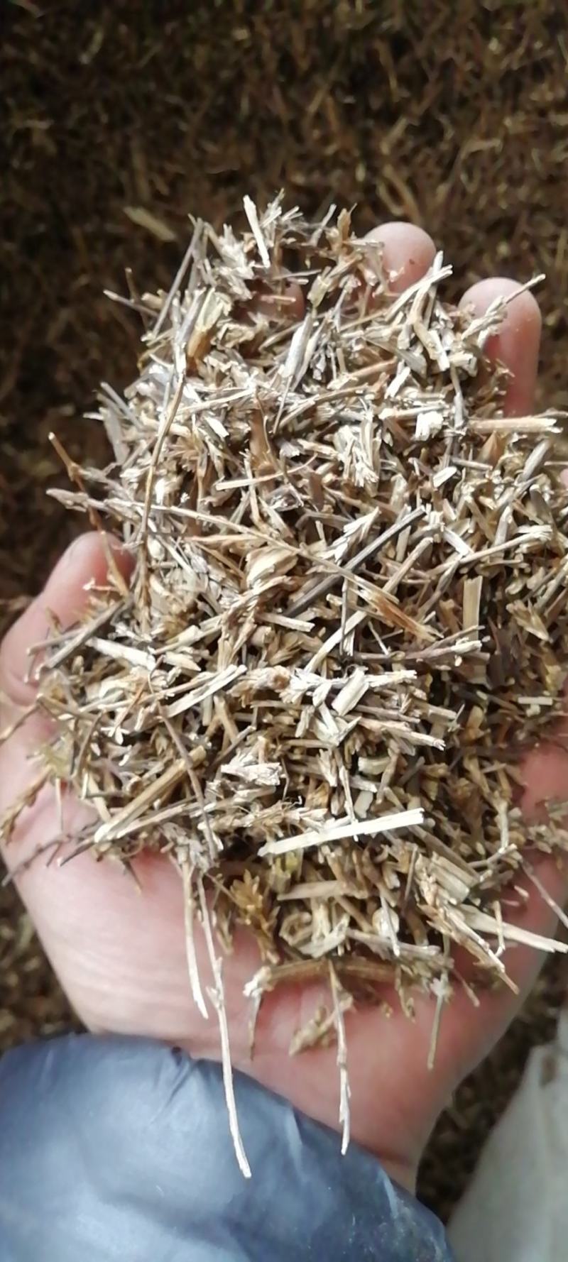 猪毛菜无硫本品为农副产品不满意可退换货