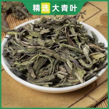 中药材野生板蓝根叶子正品大青叶茶新鲜干货散装