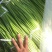 淮阳新鲜优质【白帽蒜薹】实力专业诚信代办大量供应蒜苔