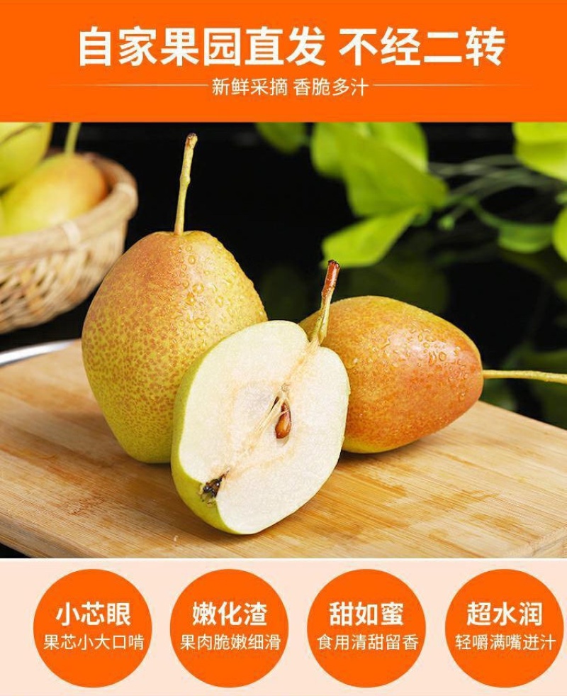 2022年新款：红香酥梨🍐脆甜可口，甜水分充足、