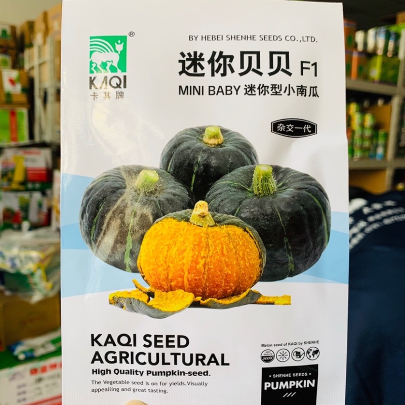 卡其迷你贝贝南瓜种子杂交一代迷你南瓜种子甜面可口味似板栗