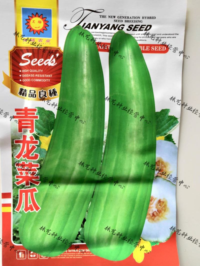 青龙菜瓜种子脆瓜种子汁多味清香生食凉拌腌制水果蔬菜种子