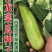 青龙菜瓜种子脆瓜种子汁多味清香生食凉拌腌制水果蔬菜种子