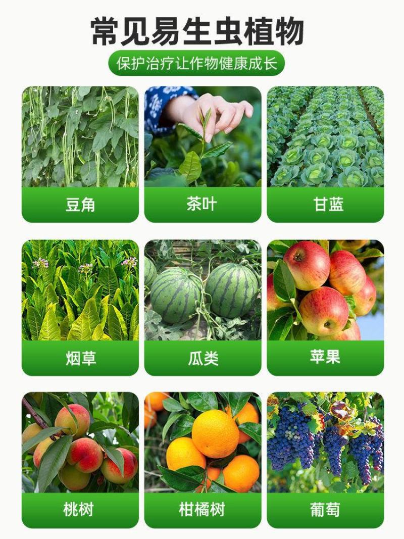 70%噻虫嗪茶树茶小绿叶蝉黄瓜蚜虫白粉虱蓟马小黑飞虱农药