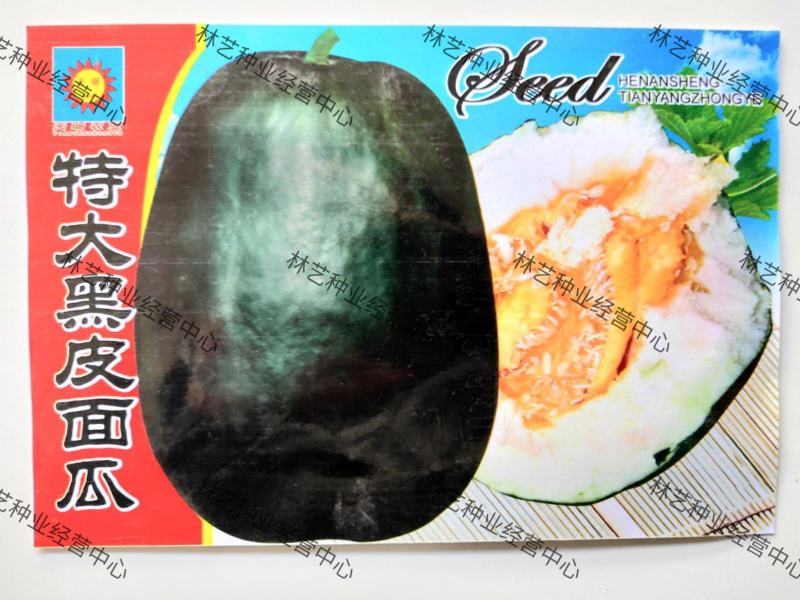 黑皮面瓜种子黑皮甜香瓜大黑皮面瓜种子香瓜春季播种瓜果蔬菜