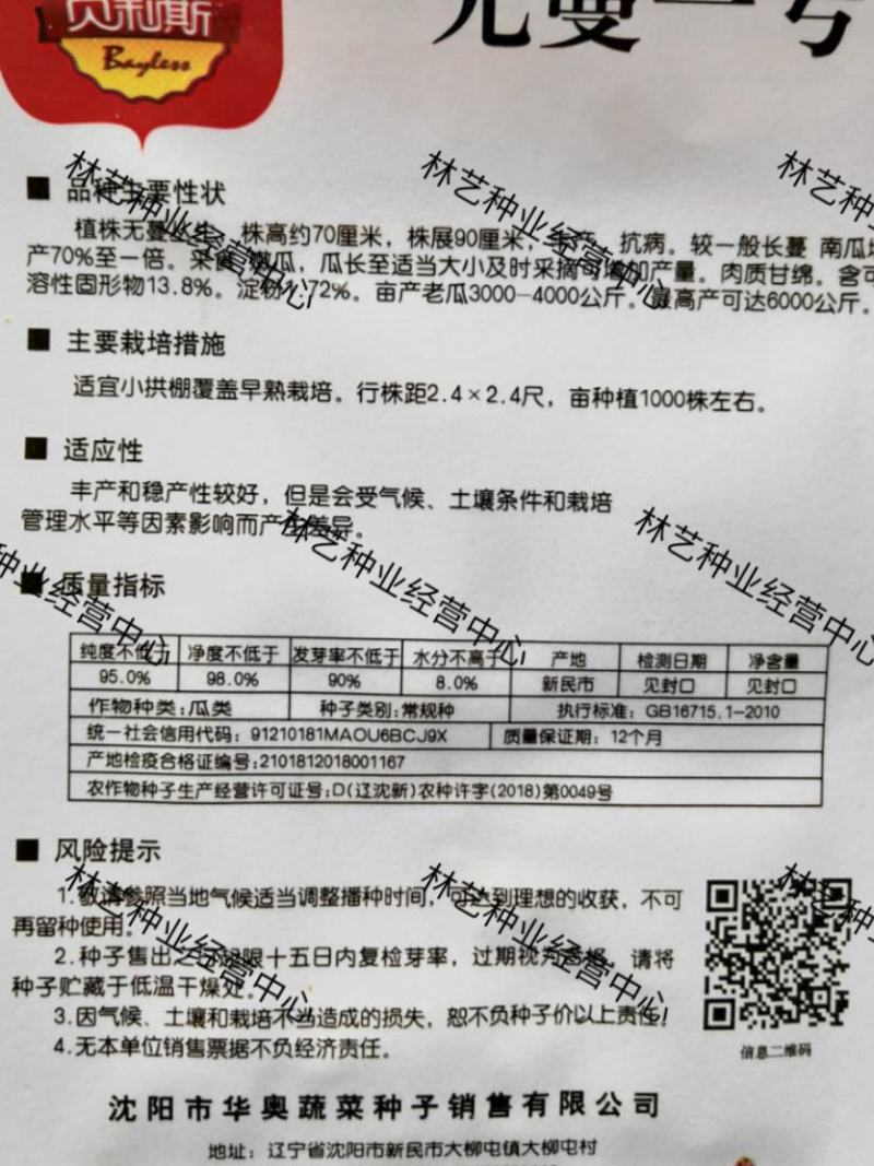 无蔓一号南瓜米种子一代杂交肉质甘绵高产菜园大田种植