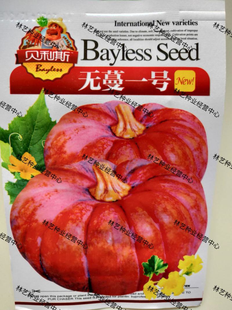 无蔓一号南瓜米种子一代杂交肉质甘绵高产菜园大田种植