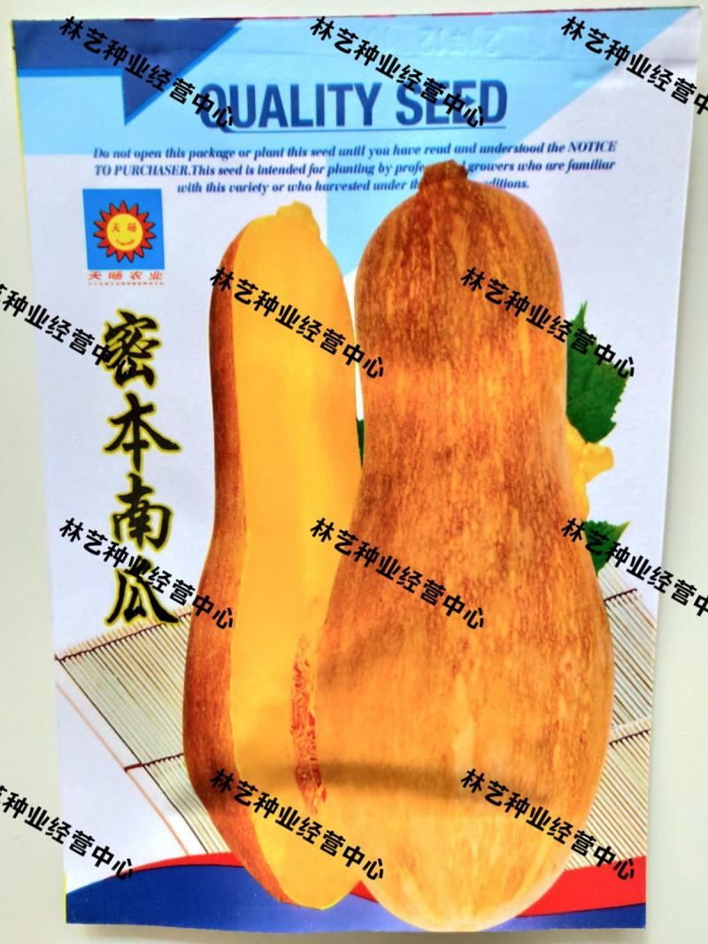 早熟蜜本南瓜种子超甜粉面高产春秋四季蔬菜阳台盆栽密本南瓜