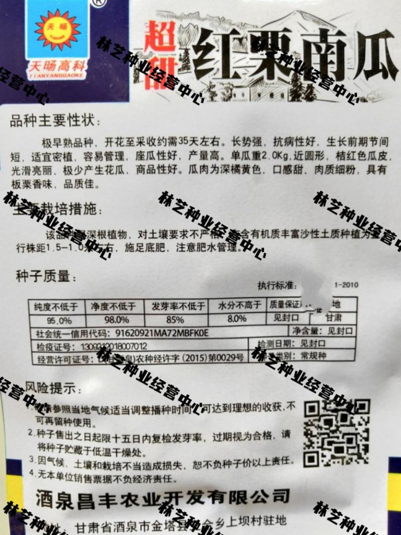 红栗南瓜种子甜面南瓜板栗红栗南瓜小金瓜种子大全四季蔬菜
