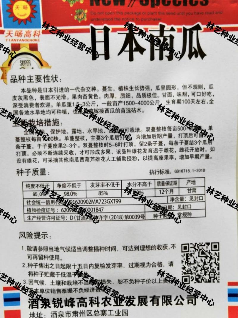 日本南瓜种子日本板栗小南瓜新品种甜面香糯春播蔬菜南瓜种子