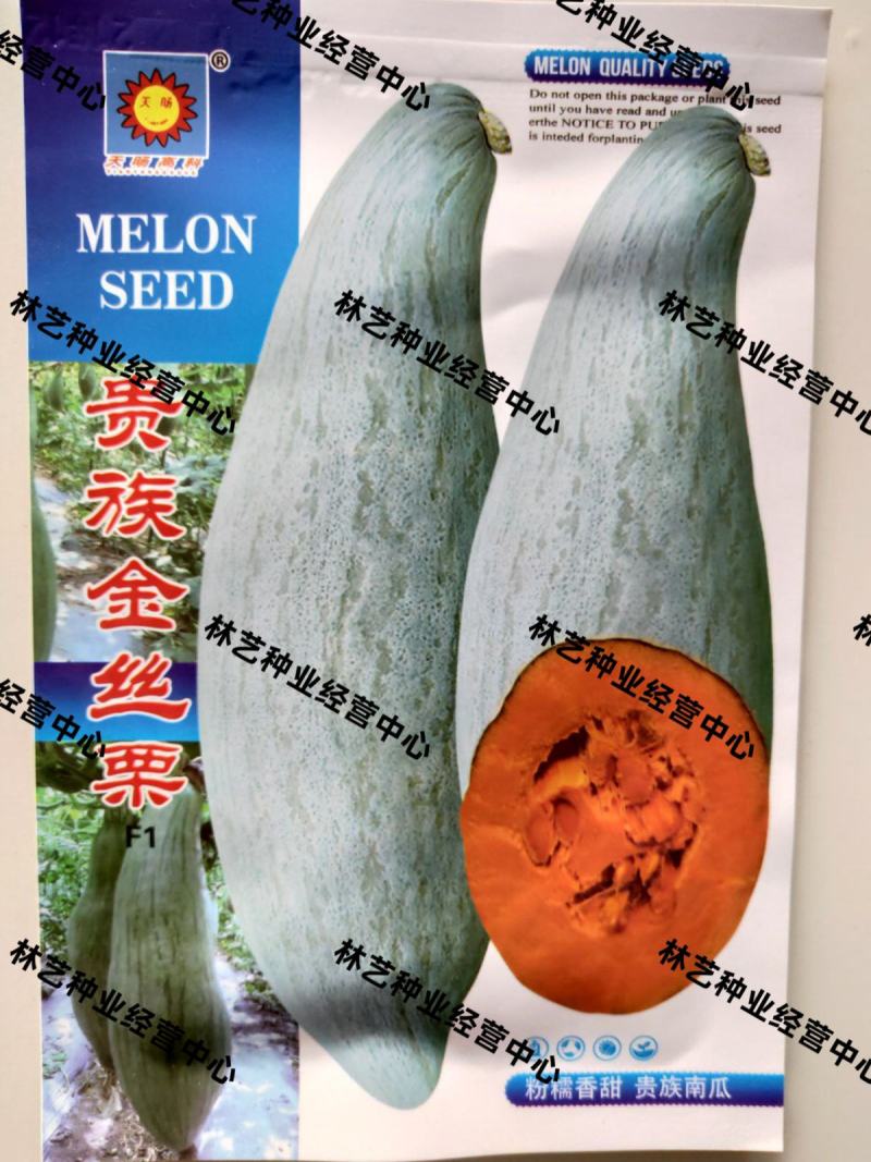 贵族南瓜种子春秋季新疆金丝栗瓜板栗南瓜种籽四季粉糯蔬菜种
