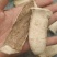 三分三大搜山虎野旱烟山茄子冷背药材大全