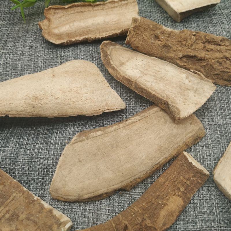 三分三大搜山虎野旱烟山茄子冷背药材大全