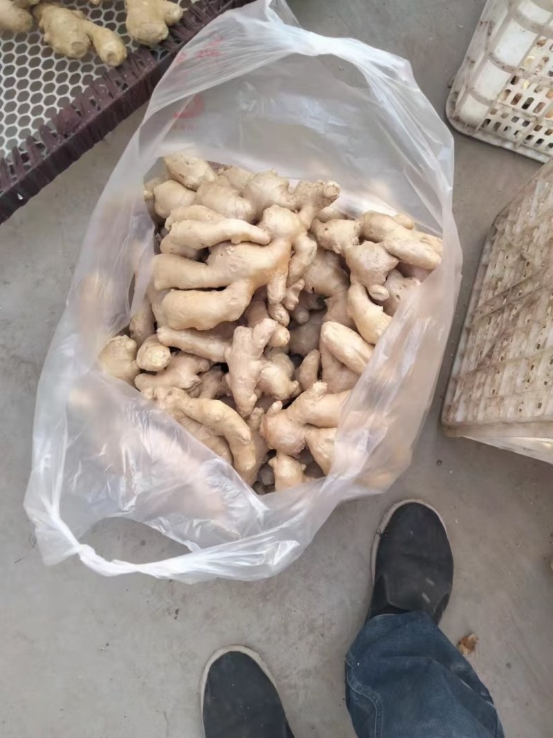 盛森农产品销售中心有电商干大黄姜另有水洗姜支持全各地发货