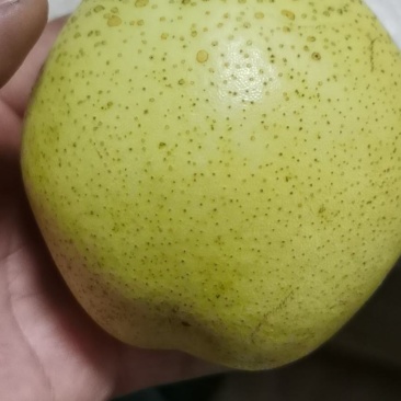 梨