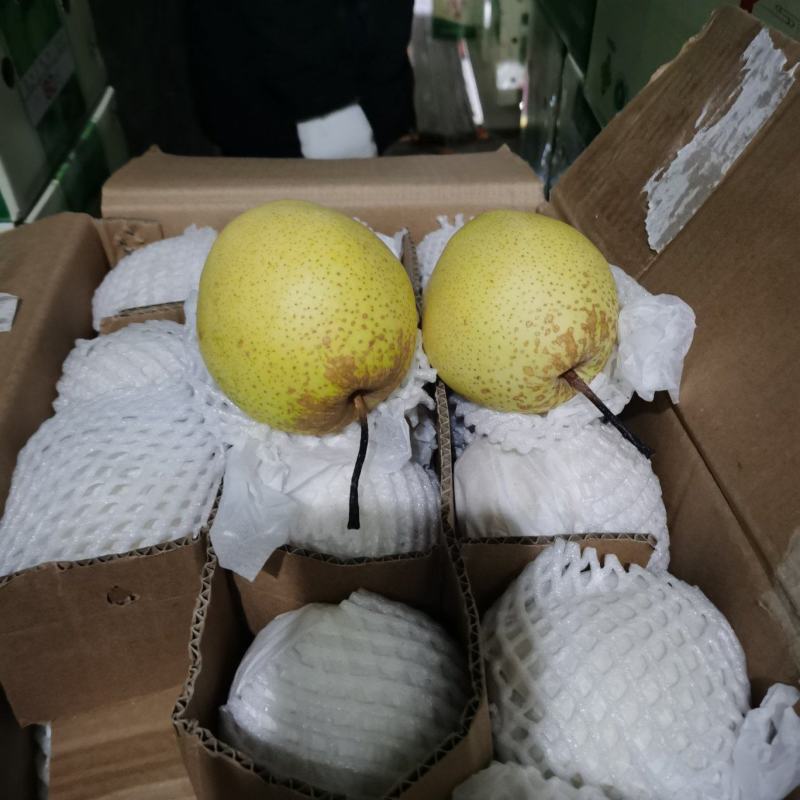 雪花梨