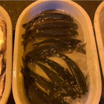 草鱼
