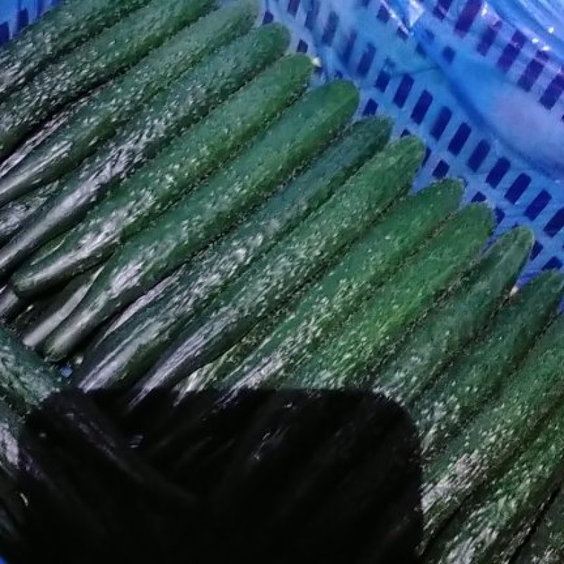 密刺黄瓜22~25公分干花带刺货源充足保质保