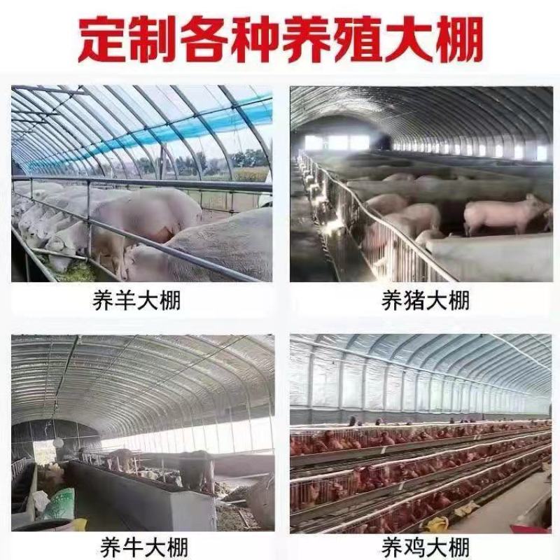 大棚温室骨架镀锌大棚管