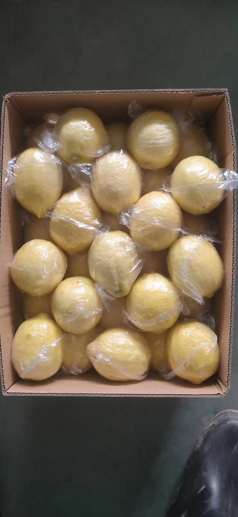 四川安岳柠檬！一手货源产地直供，量大，批发白菜价！