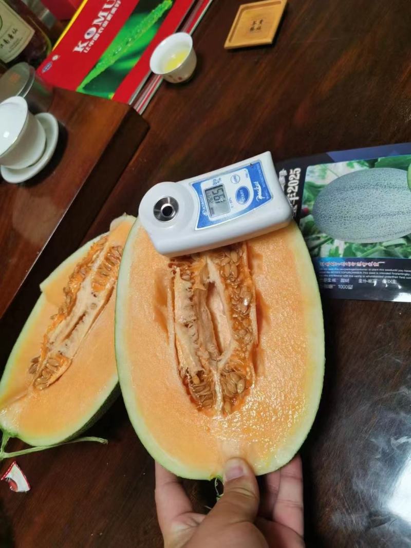 海南哈密瓜皮厚肉细-脆甜多汁-货源充足产地直销