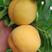 千亩高山锦绣黄桃，低价出售，个头大。糖分17.5