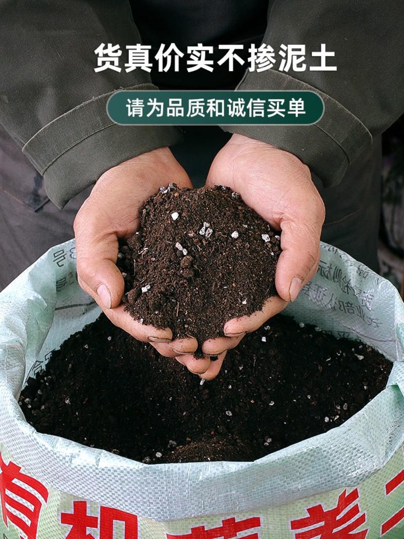营养土养花通用专用土花土种菜种花土壤种植土花卉盆栽泥土家
