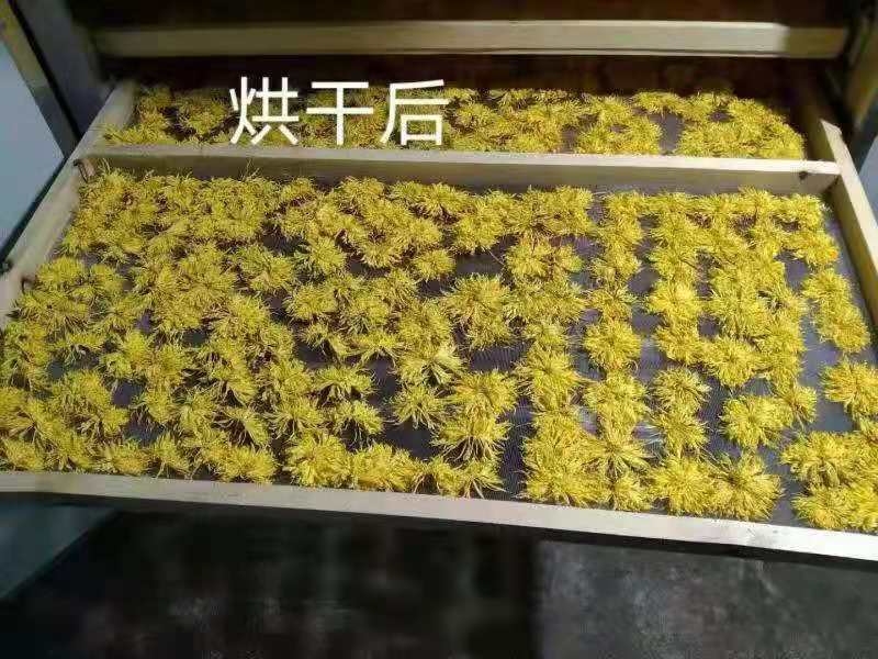 中药材智能烘干机豆角菊花金银花羊肚菌山药烘干机