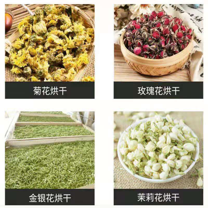 中药材智能烘干机豆角菊花金银花羊肚菌山药烘干机