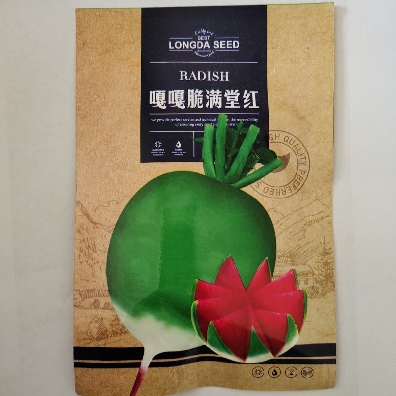 嘎嘣脆水果萝卜种籽青萝卜种子皮薄肉脆春秋萝卜蔬菜盆栽种孑