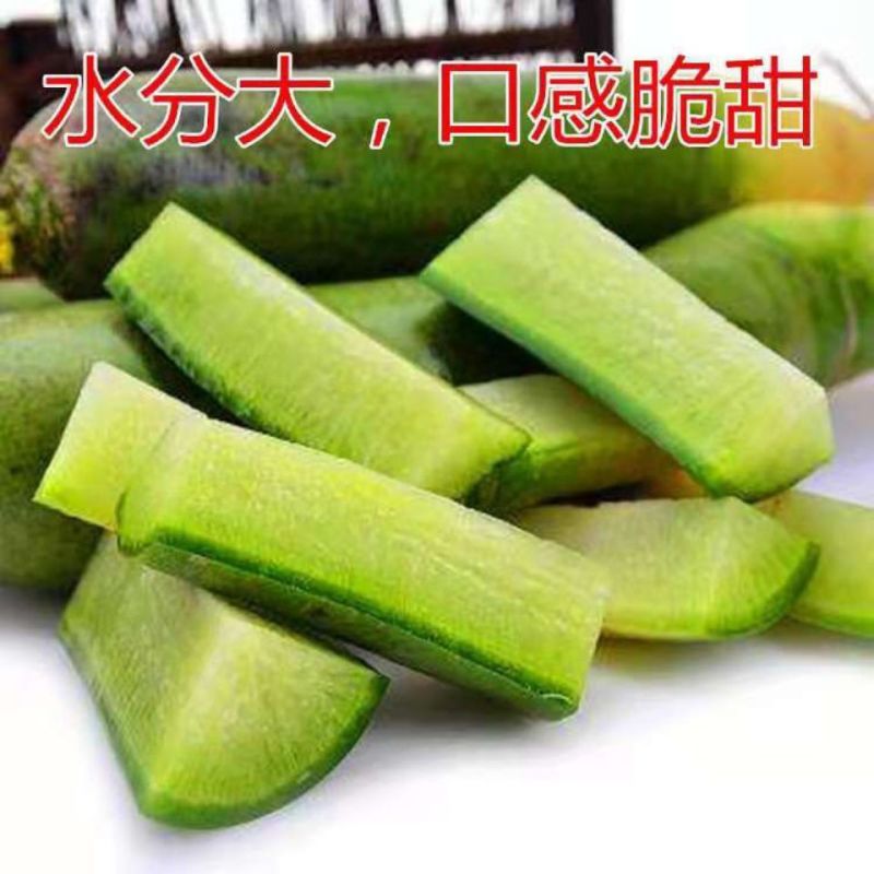 嘎嘣脆水果萝卜种籽青萝卜种子皮薄肉脆春秋萝卜蔬菜盆栽种孑