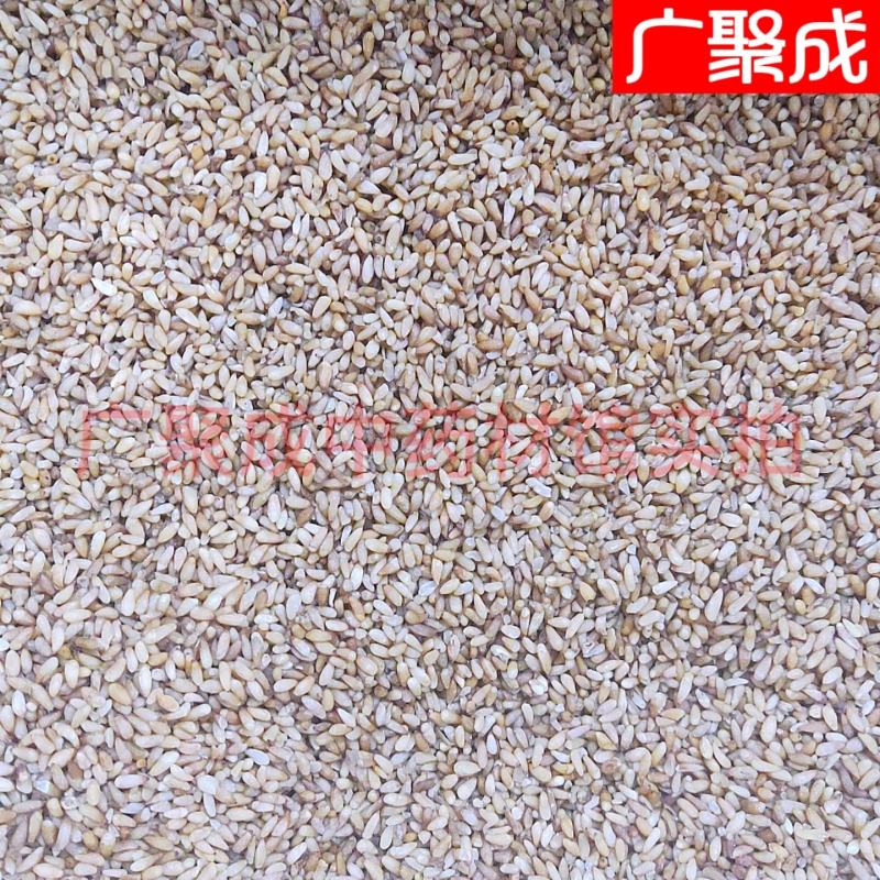 【实拍】柏子仁柏籽仁新货去壳饱满一公斤起批
