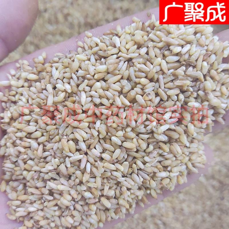 【实拍】柏子仁柏籽仁新货去壳饱满一公斤起批