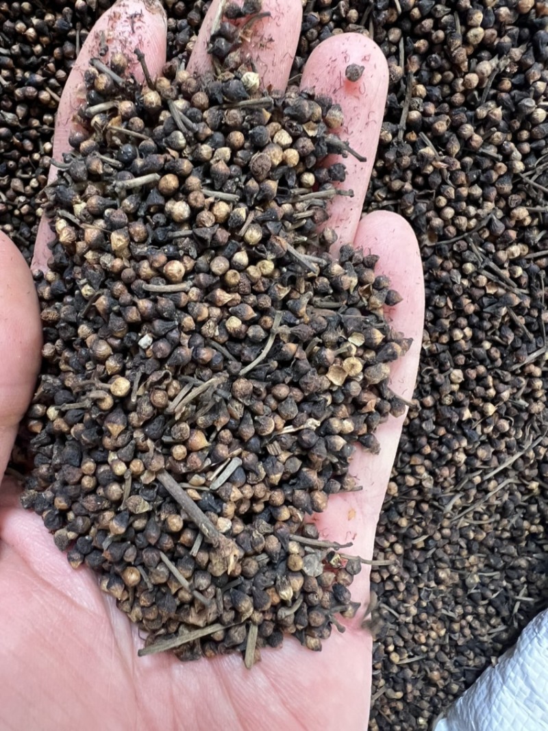 水翁花过筛去粉尘货品足干有大货一手货源