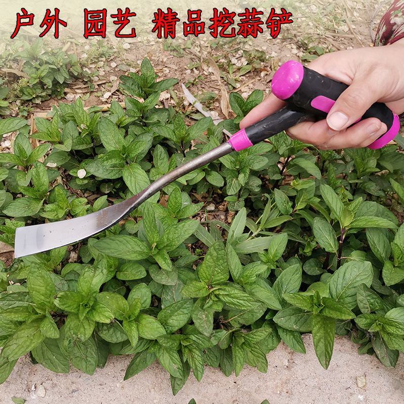 挖荠菜蒲公英铲子栽花铲子挖蒜铲挖野菜铲子铁铲子移花铲子