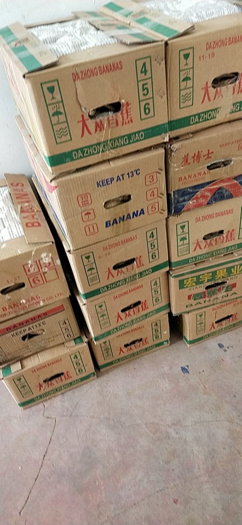 山东滨州新茬地无菌白玉山药苗欢迎广大种植户选购