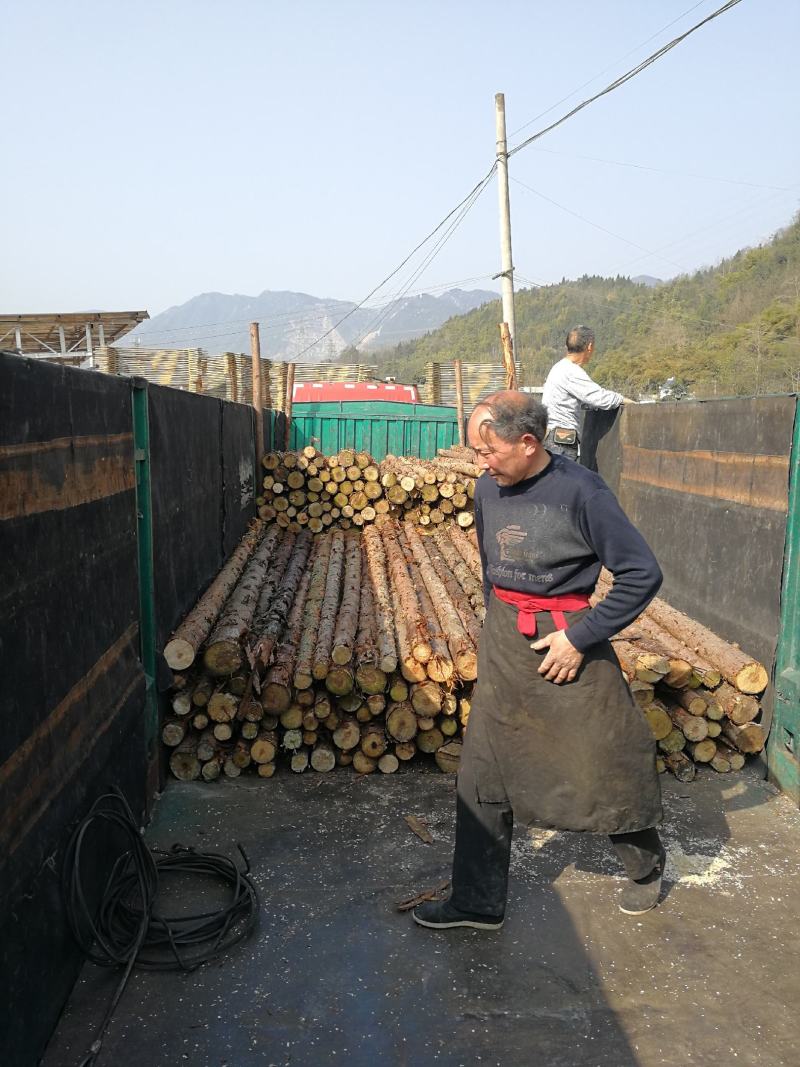 热销.产地批发杉木杆，松木杆，河道桩，规格齐全，价格便宜