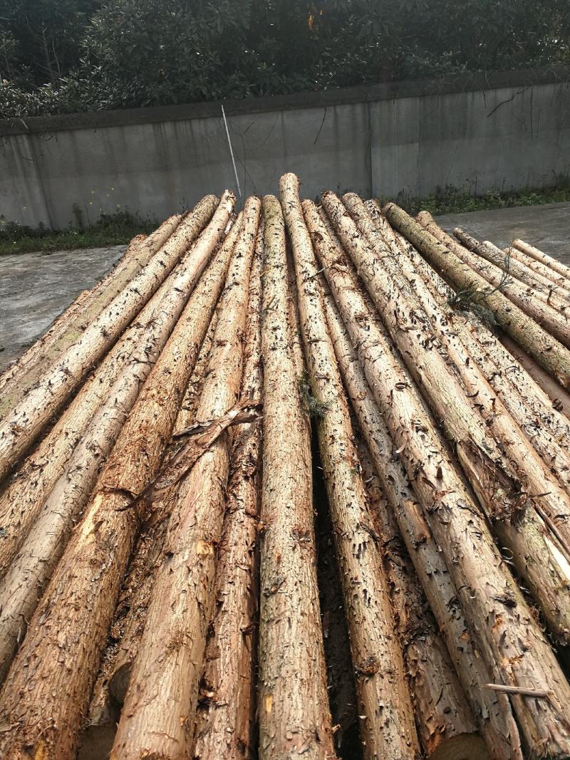 热销.产地批发杉木杆，松木杆，河道桩，规格齐全，价格便宜
