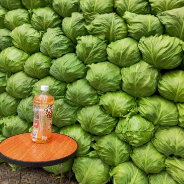 精品甘蓝