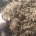 金银花黔西南州金银花统花产地直供无硫一吨起批