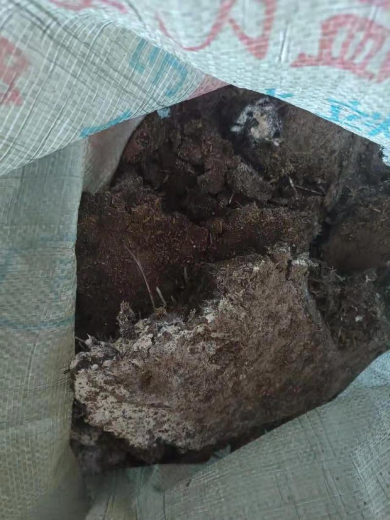 广东鸡粪常年有货供应质量保证诚信经营有需要的可以提前联系