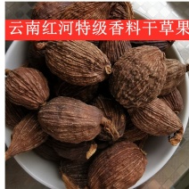 云南草果500g香料调料大全家用散装大料做菜调料特级草果