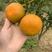 明日见柑橘树苗果大汁多成活率高果树苗种植栽培技术指导