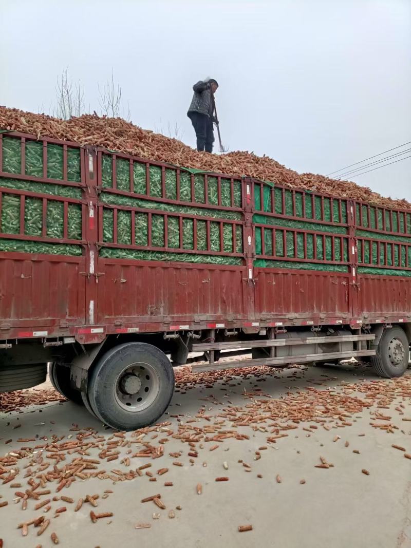 牛羊饲料，玉米芯，无霉无土水分13，产地直发，量大从优