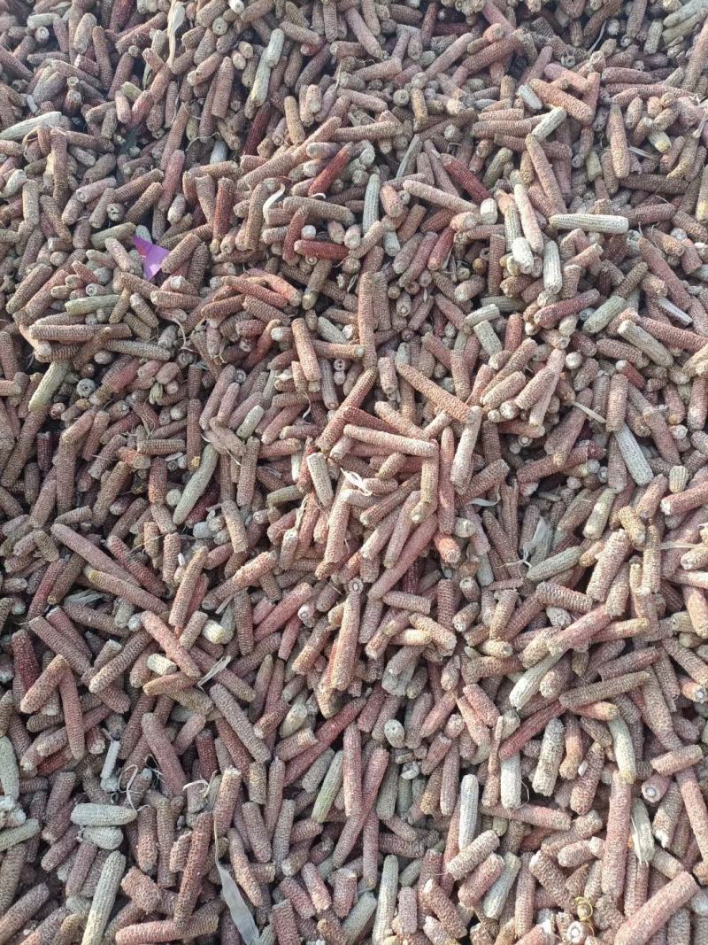 牛羊饲料，玉米芯，无霉无土水分13，产地直发，量大从优