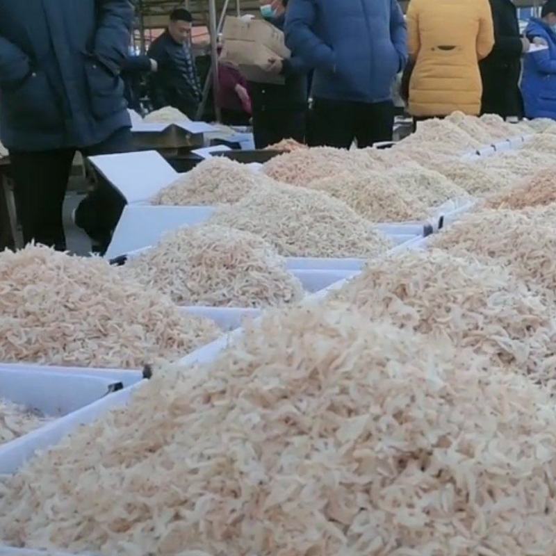 今年生意不好做！无盐虾皮降价喽！