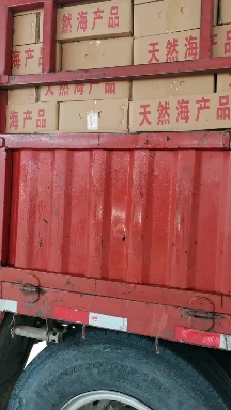 今年生意不好做！无盐虾皮降价喽！