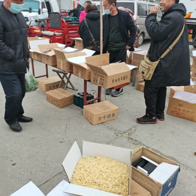 今年生意不好做！无盐虾皮降价喽！