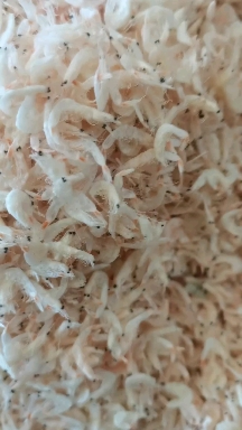 今年生意不好做！无盐虾皮降价喽！