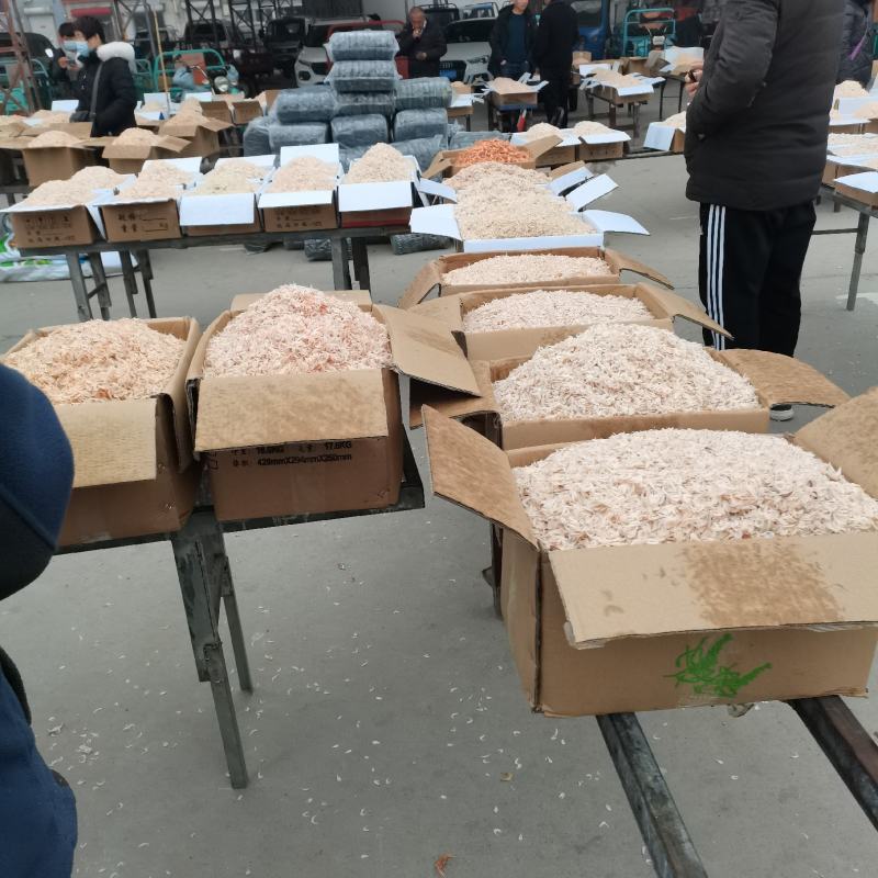 今年生意不好做！无盐虾皮降价喽！